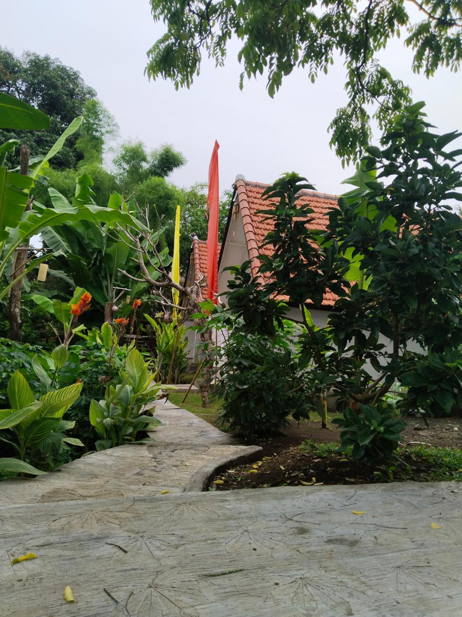 Jepun Didulu Cottages Кандидаса Номер фото